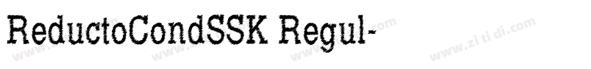 ReductoCondSSK Regul字体转换